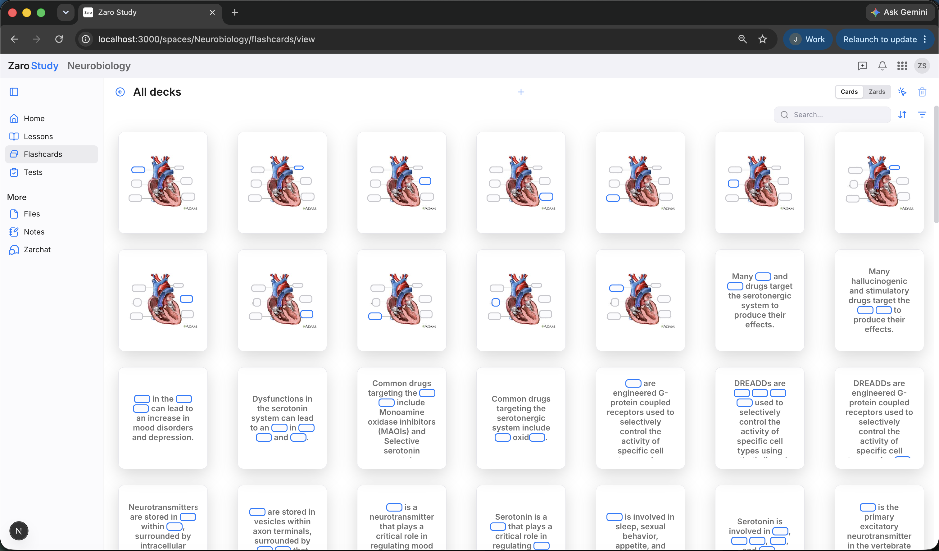Zaro Study flashcard library with anatomy cards