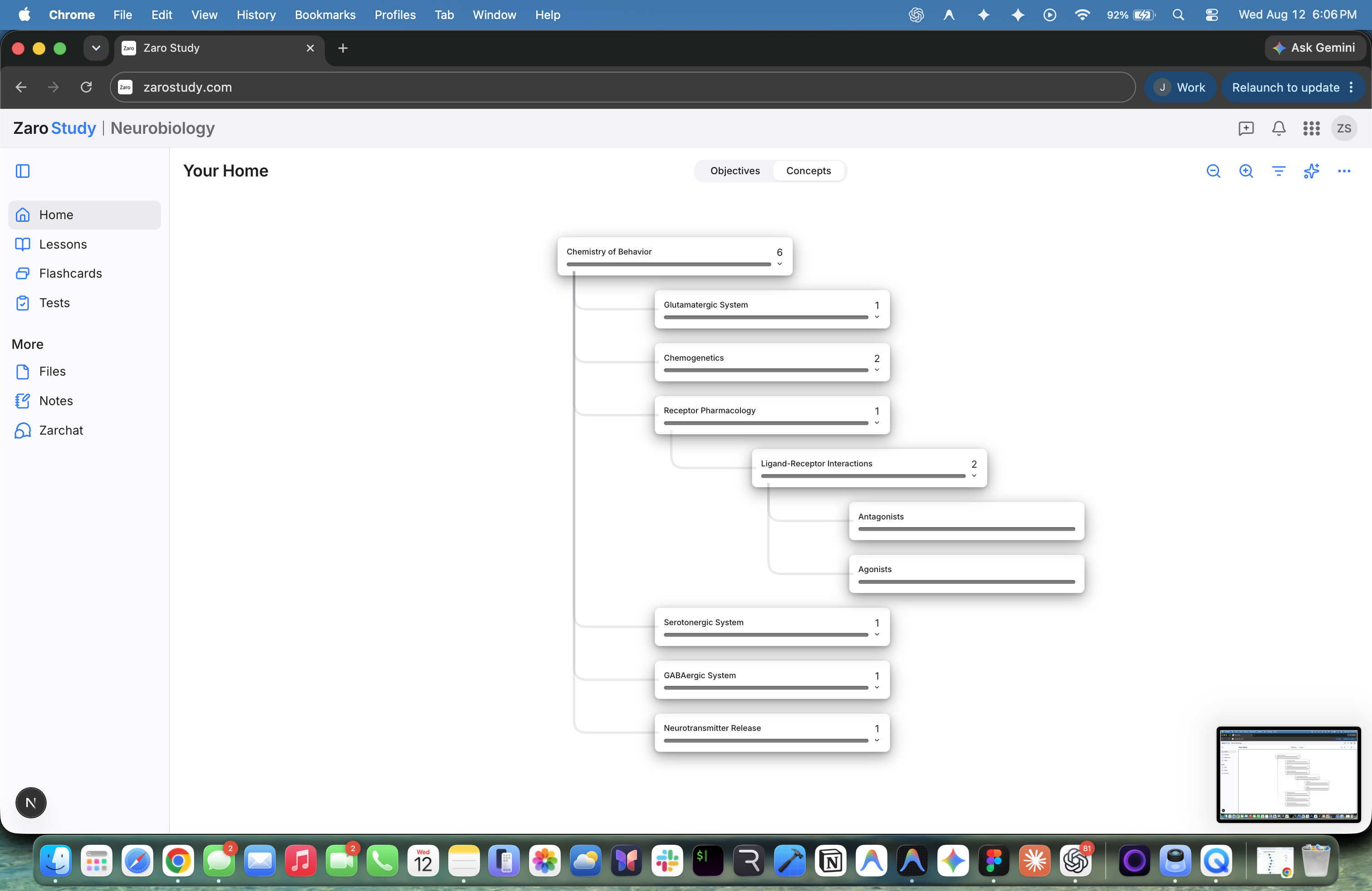 Zaro Study Space showing a Neurobiology concept knowledge tree